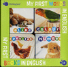 MY FIRST WORDS IN ENGLISH  4LIBROS CARTONE +CAJA