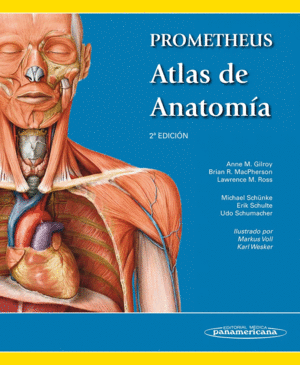 PROMETHEUS. ATLAS DE ANATOM�A (1VOL.)