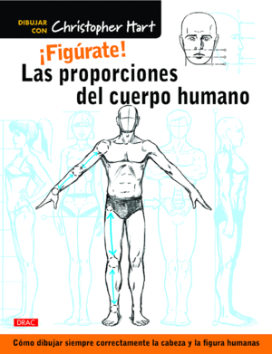 FIGRATE! LAS PROPORCIONES DEL CUERPO HUMANO