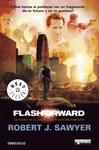 FLASHFORWARD (RECUERDOS DEL FUTURO)