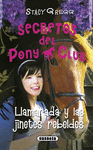 SECRETOS DEL PONY CLUB 10 LLAMARADA Y LAS JINETES REBELDES