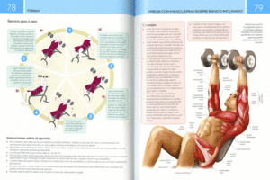 FITNESS  ANATOM�A Y EJERCICIOS