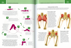 YOGA  ANATOM�A Y POSTURAS
